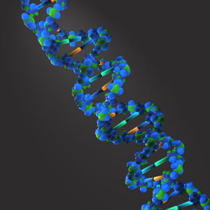 2003-human-genome-sequenced.png