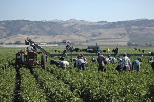 2009-farm-labor.jpg