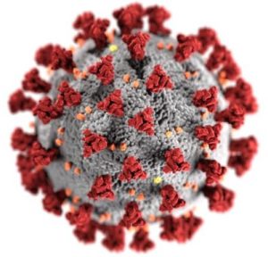 CDC illustration of the coronavirus, the virus that causes COVID-19