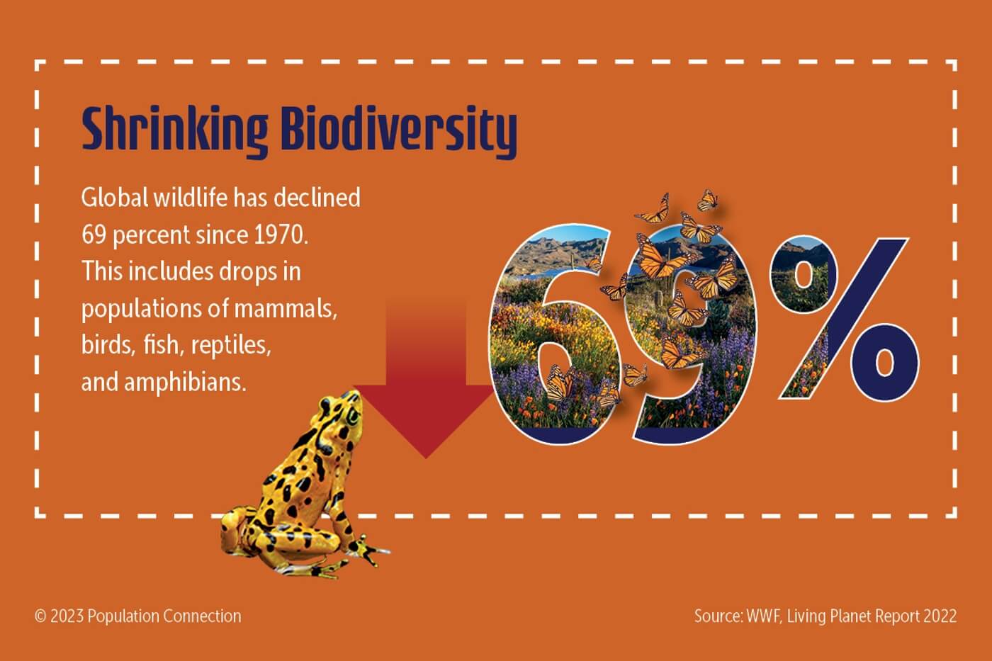 A poster that shows the percentage of shrinking biodiversity - a 69 percent decrease in biodiversity since 1970