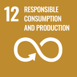 brown image with an icon of buildings with the number 12 and "responsible consumption and production" text