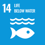 blue image with an icon of a fish in water with the number 14 and "life below water" text