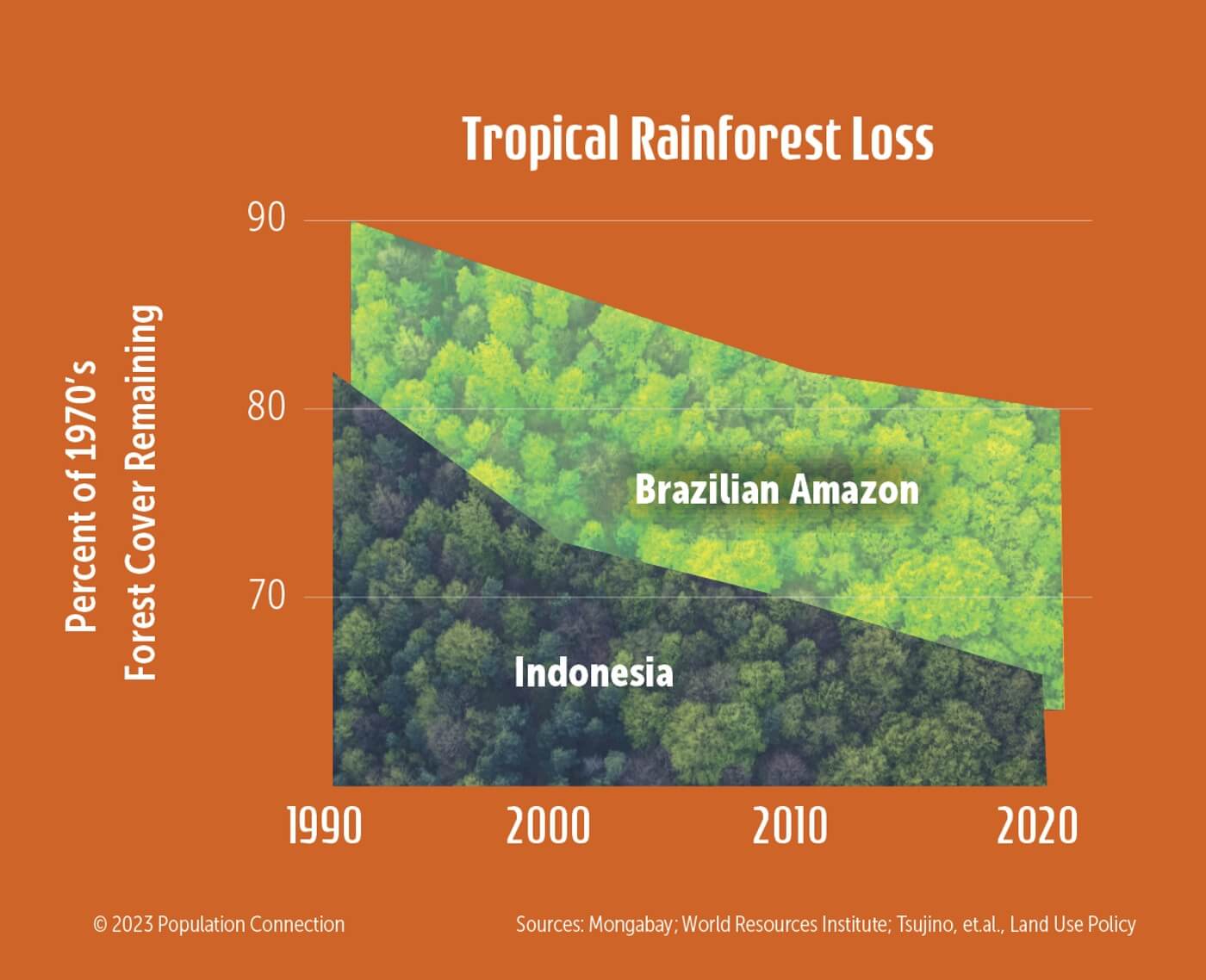 A graph of the Brazilian Amazon and Indonesia's tropical rainforest loss